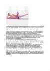 Pilates #3