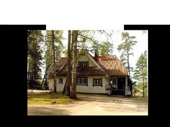 Jean Sibelius #5