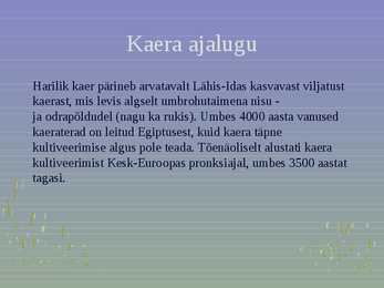 Rahvuslik toidukultuur #4