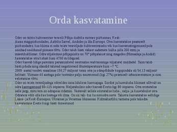 Rahvuslik toidukultuur #36