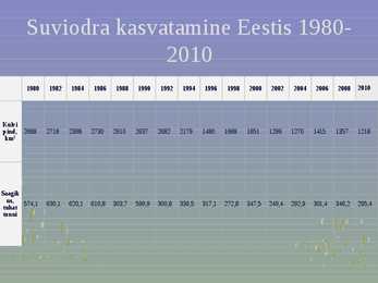 Rahvuslik toidukultuur #38