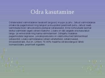 Rahvuslik toidukultuur #40