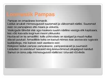 Pampa #6