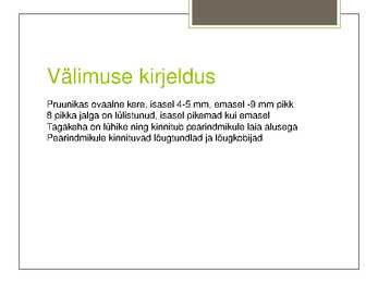 Koibik #3