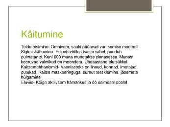 Koibik #6