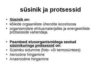 S�SINIKURINGE #3