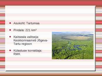 Emajõe-Suursoo kaitseala #2