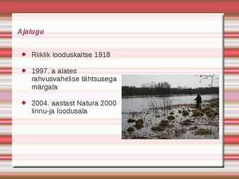 Emajõe-Suursoo kaitseala #3