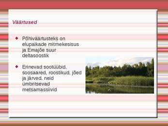 Emajõe-Suursoo kaitseala #4