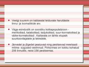 Emajõe-Suursoo kaitseala #6