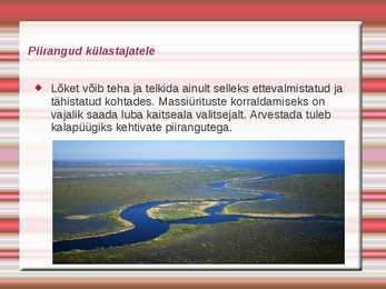 Emajõe-Suursoo kaitseala #7