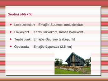 Emajõe-Suursoo kaitseala #8
