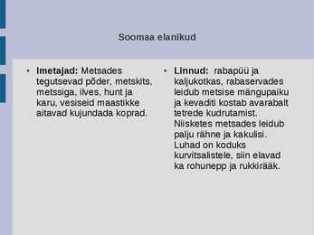 Soomaa rahvuspark #5