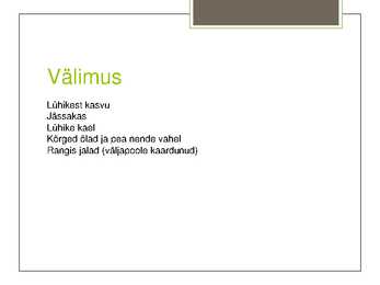 Tõde ja õigus-Jussi elu #3