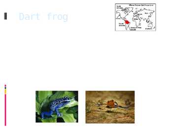 Poison dart frog #2