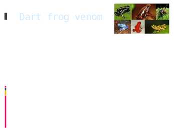 Poison dart frog #4