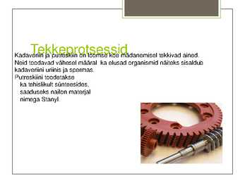 Kadaveriin #4