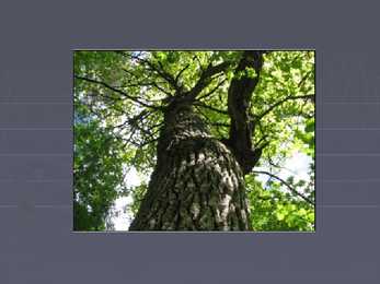 Planning of Cultural Landscapes #15