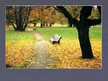Planning of Cultural Landscapes #17