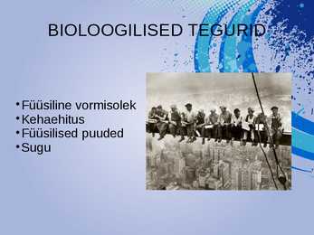 TÖÖTAMINE JA MÄNGIMINE #6