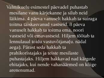 Mesilase esitlus #11