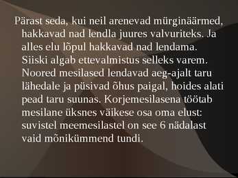 Mesilase esitlus #12