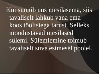 Mesilase esitlus #16