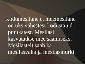 Mesilase esitlus #3