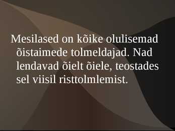 Mesilase esitlus #5