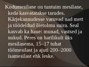 Mesilase esitlus #6