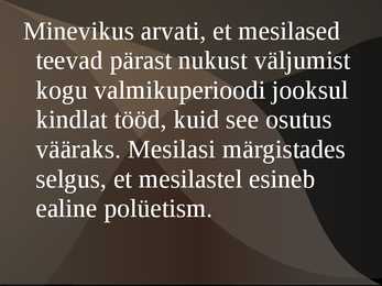 Mesilase esitlus #10