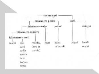 Soome-ugri keeled #8