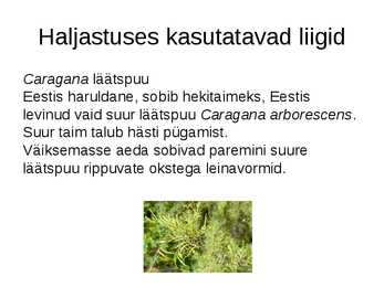 Haljastuses kasutavate taksonite määramine sugukonnas liblikõielised #12