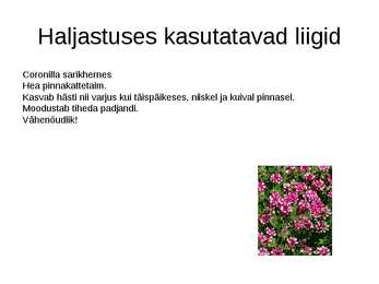 Haljastuses kasutavate taksonite määramine sugukonnas liblikõielised #13