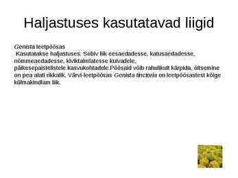 Haljastuses kasutavate taksonite määramine sugukonnas liblikõielised #15