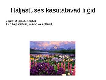 Haljastuses kasutavate taksonite määramine sugukonnas liblikõielised #17