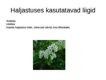 Haljastuses kasutavate taksonite määramine sugukonnas liblikõielised #19