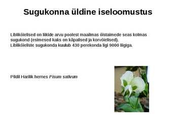 Haljastuses kasutavate taksonite määramine sugukonnas liblikõielised #3