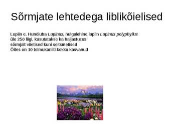 Haljastuses kasutavate taksonite määramine sugukonnas liblikõielised #7