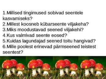 Seened #12
