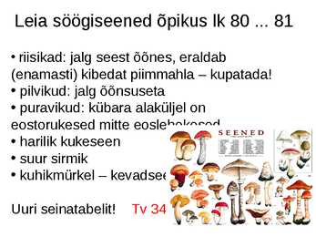 Seened #13