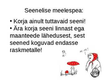 Seened #14