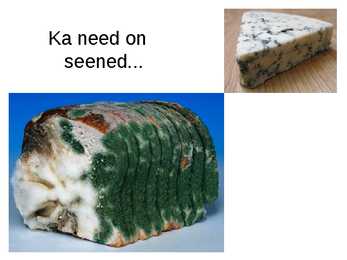 Seened #3
