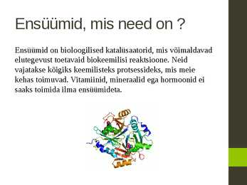 Ensüümid-vitamiinid ja hormoonid #2