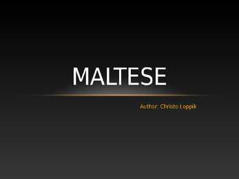 Maltese