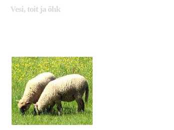 Lambakasvatus #5