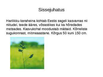 Harilik kerahein #2