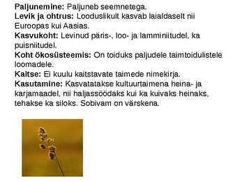 Harilik kerahein #5