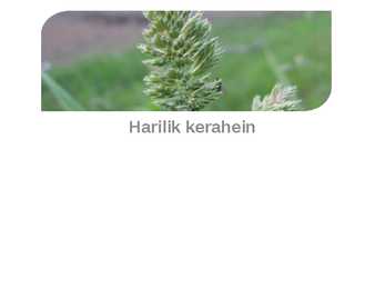 Harilik kerahein