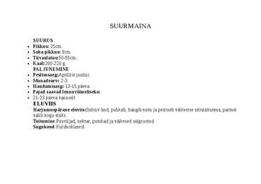 SUURMAINA